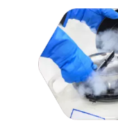 Freeze Gametes